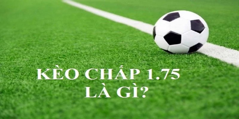 Bắt cược đỉnh cao để gia tăng chiến thắng