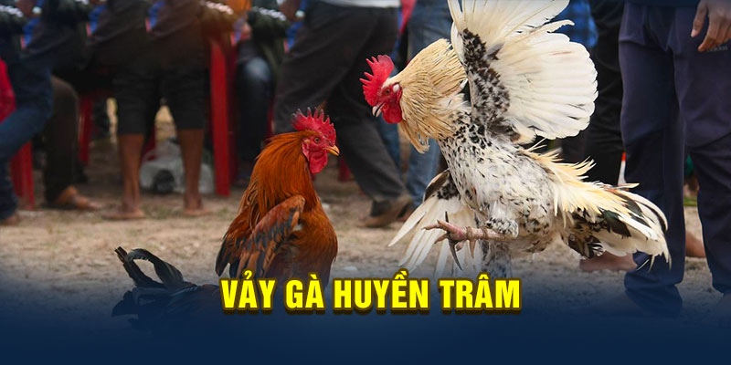 Kỹ thuật sử dụng