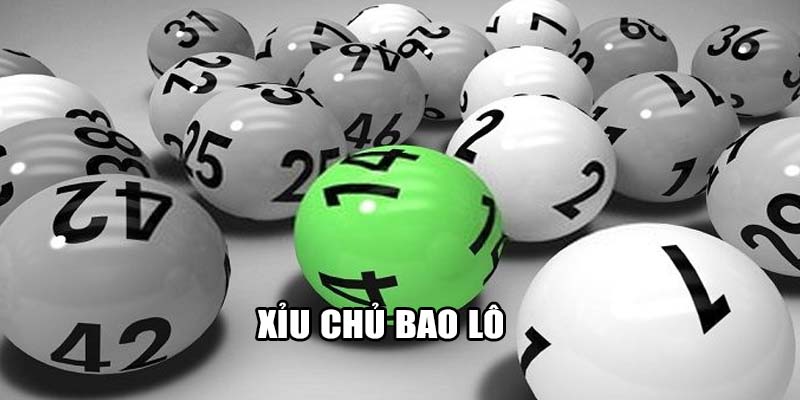 Xỉu chủ bao lô
